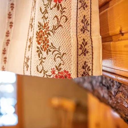 Apartament Dany Saroch *