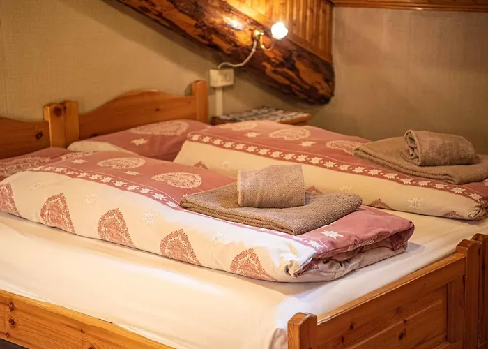 Apartament Dany Saroch *